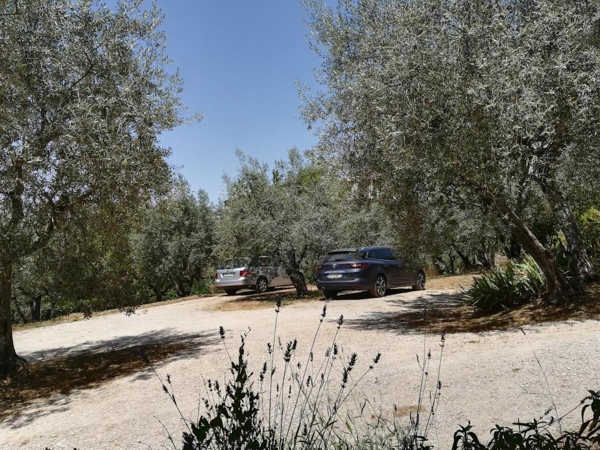 Casa Vacanze "Alcentro" Assisi Dış mekan fotoğraf